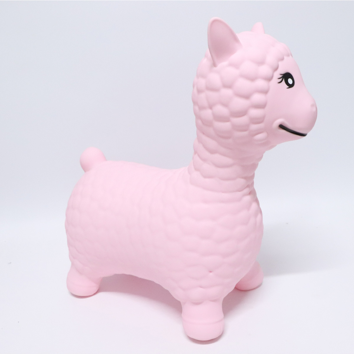 Alpaca04