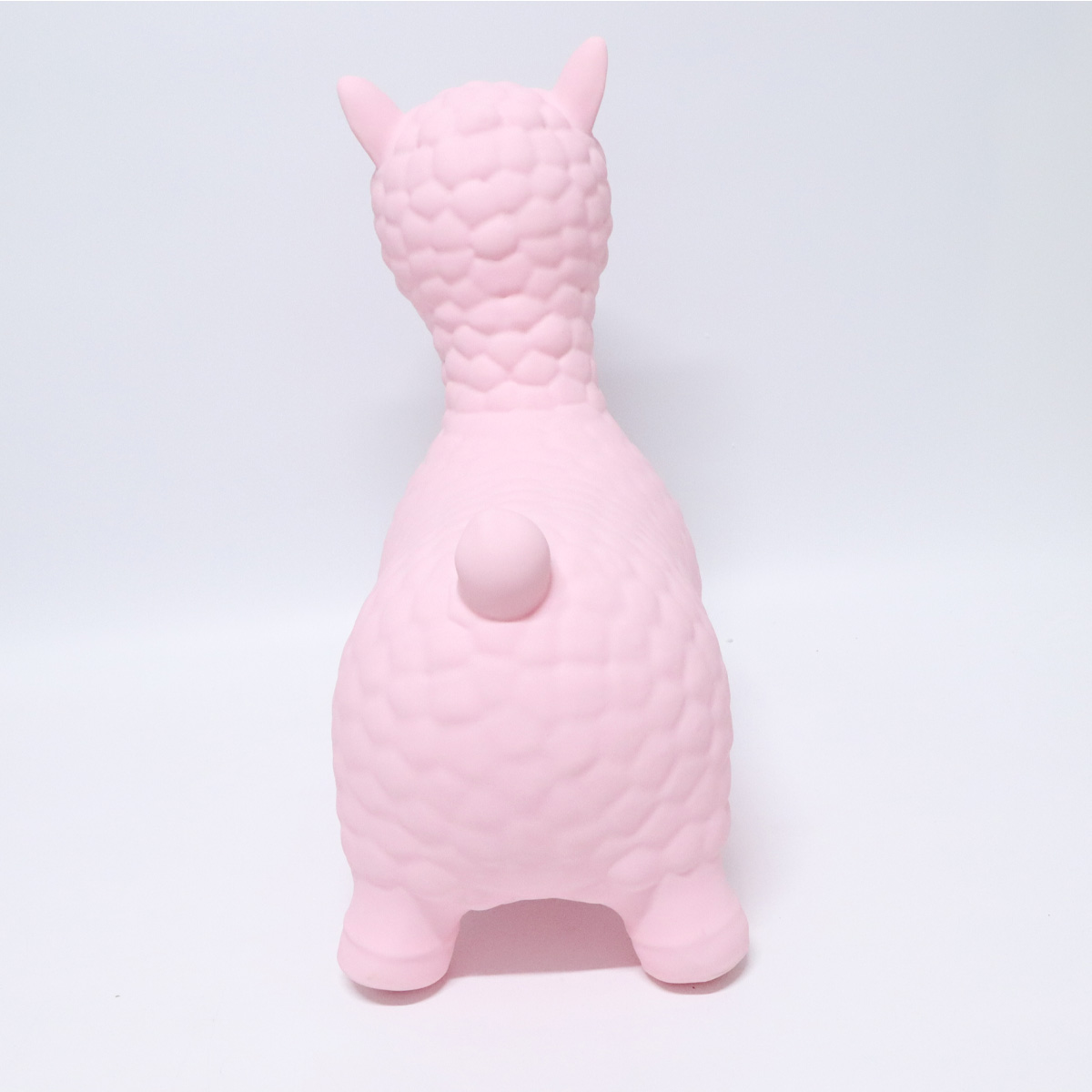 Alpaca05