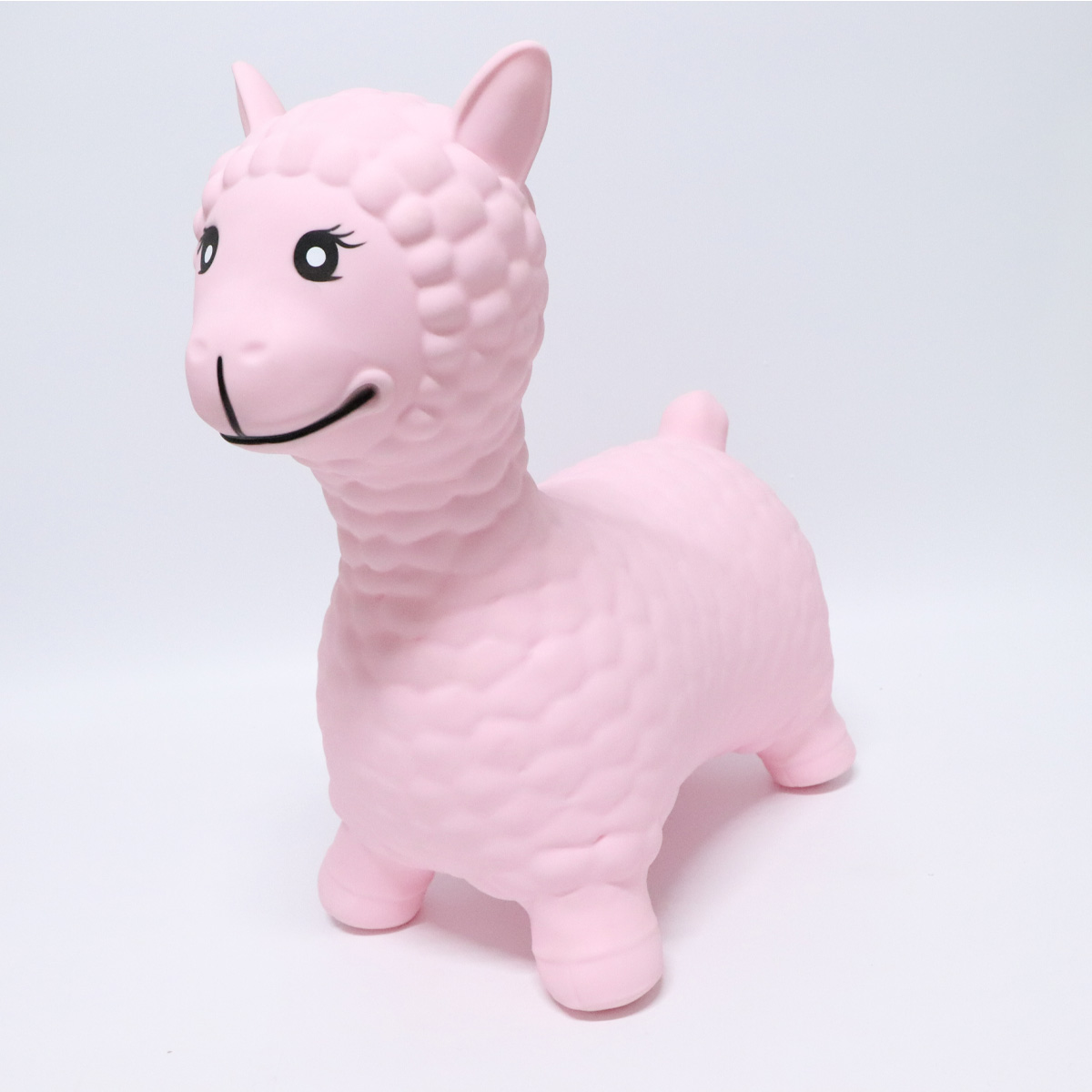 Alpaca06