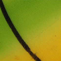 Basketball-Green With Yellow-1