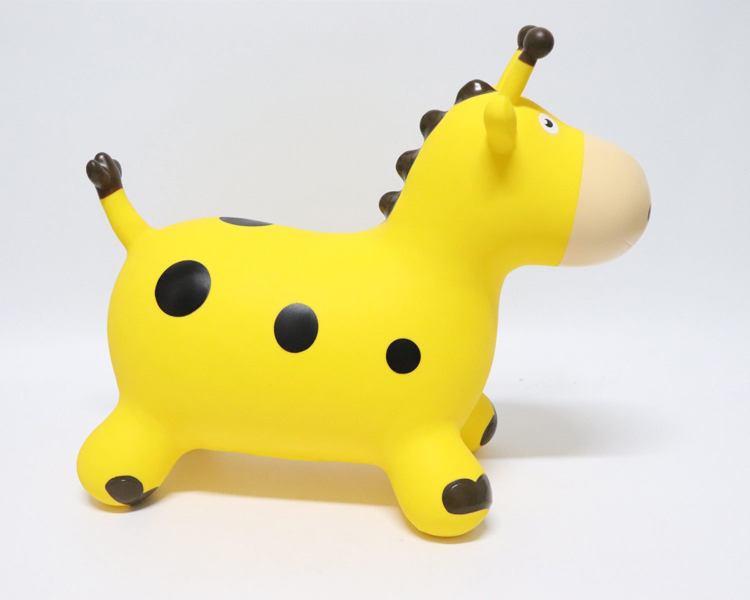 Giraffe02