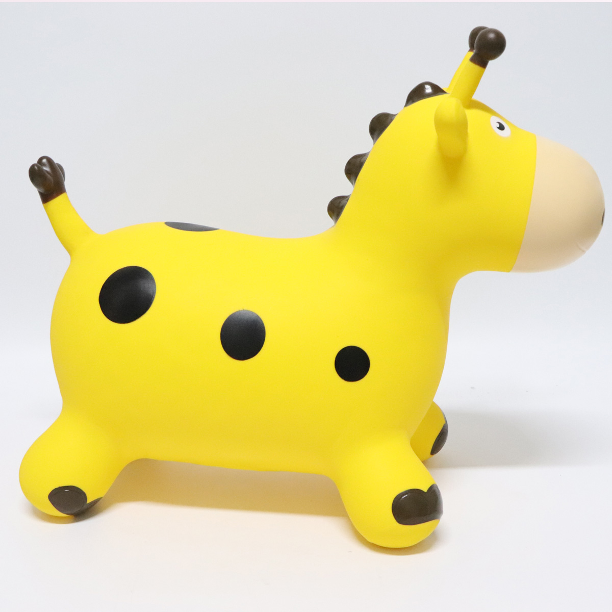 Giraffe04