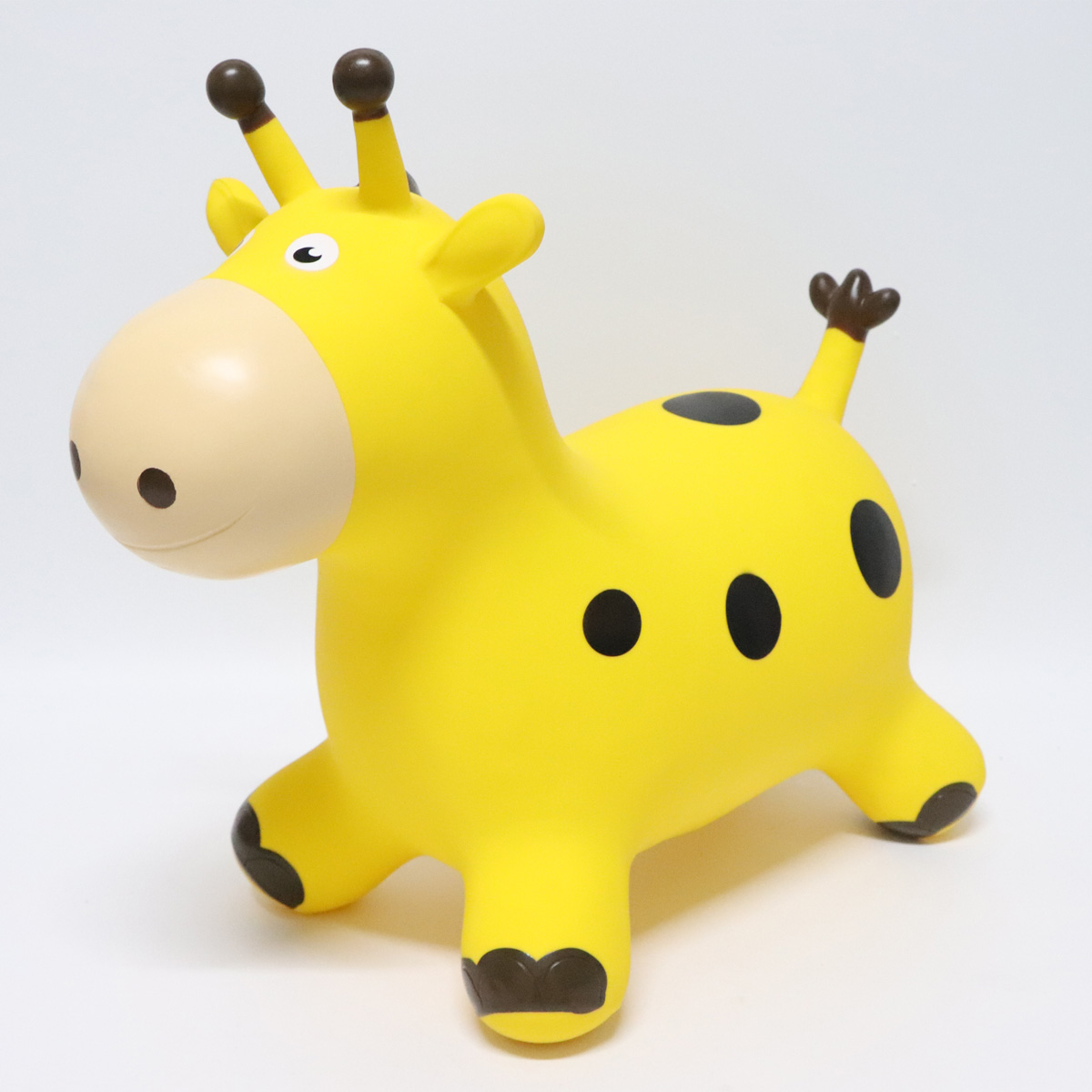 Giraffe06
