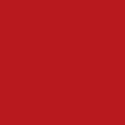 Golden Powder Ball-red02